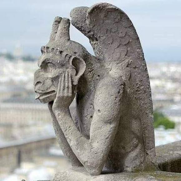 Meet your Posher, Jackie - Picture 1 of 1